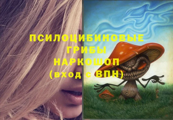 скорость Белокуриха
