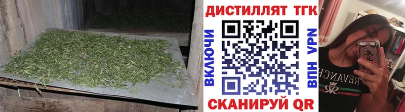 darknet телеграм  Хасавюрт  ТГК вейп с тгк 