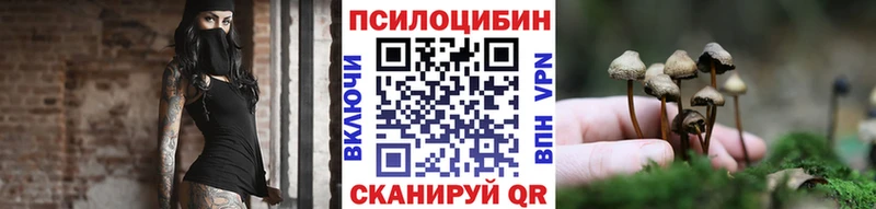 МЕГА ONION Хасавюрт Галлюциногенные грибы Psilocybine cubensis дарнет шоп